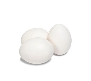 White Egg