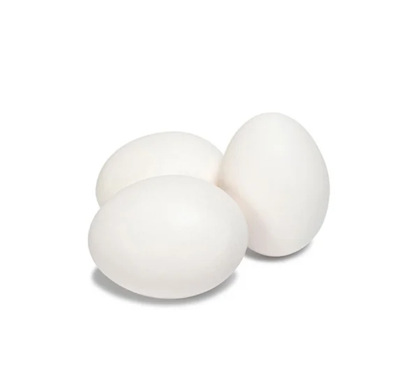 White Egg