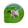 Ambewela Yoghurt – 80g