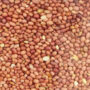 Roasted Peanut 100g