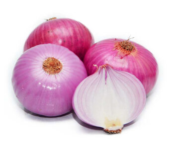 Big Onion | Vengayam (India)