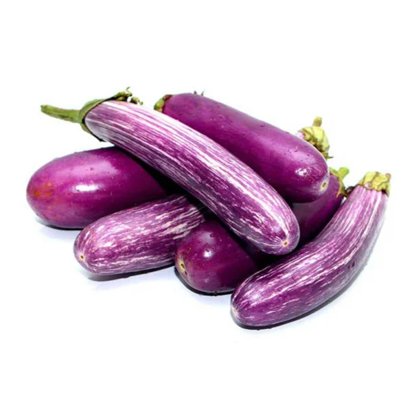 Brinjal | Kattharikkai