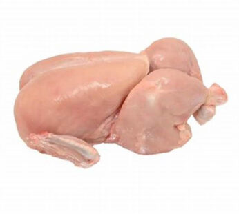 Fresh Broiler Chicken