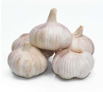 Garlic | Poondu