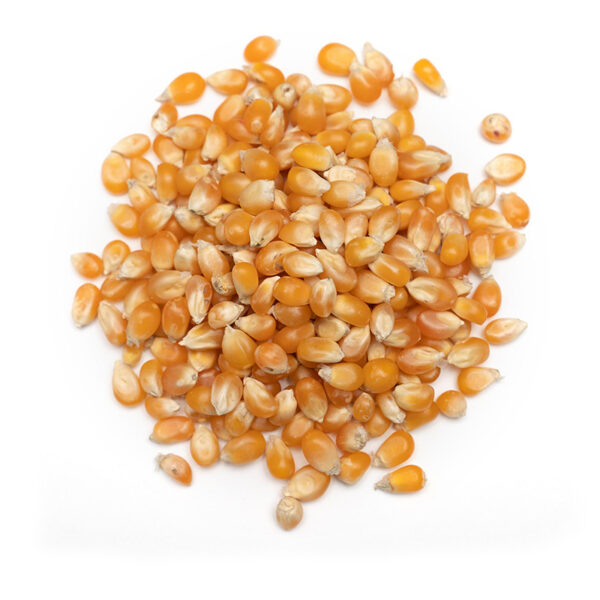 Dried Corn | Solaham – Bulk - Image 2