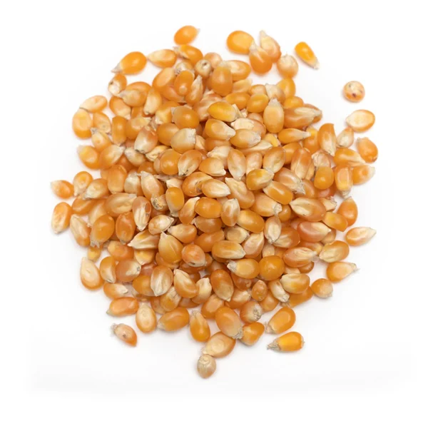 Dried Corn | Solaham – Bulk - Image 2