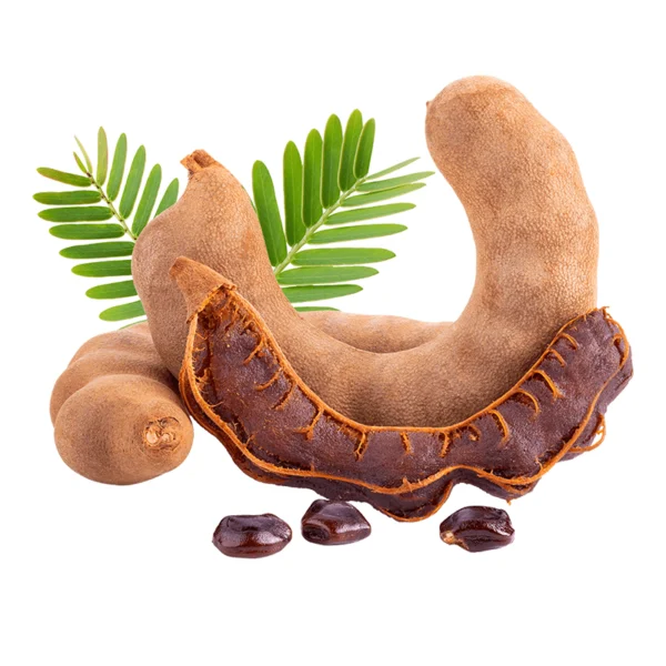 Tamarind Fruit | Vadu Puli